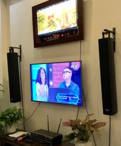 Loa karaoke Linx i44i64