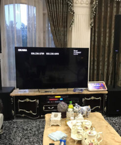 Loa karaoke Linx i44i64 (3)